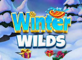 Winter Wilds Image