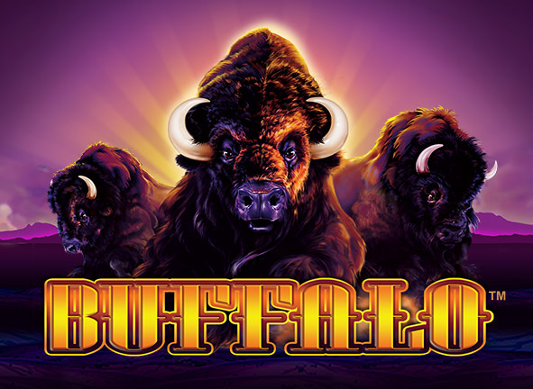 Buffalo King Megaways Jackpot Strategies UK: Smarter Ways to Chase Big Wins
